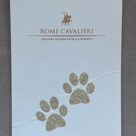 PET IN ROOM - “Do Not Disturb” Rome Cavalieri hotel door hanger - Picture 5 of 12